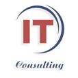 IT Consulting